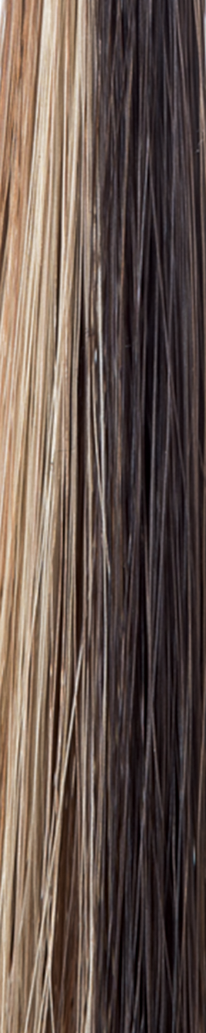 Chocolate Swirl - A Cappucino-base, with a mix of honey brown and medium yellow blonde highlights. It features a nice balance of tastefully placed highlights, giving a smooth, decadent look!