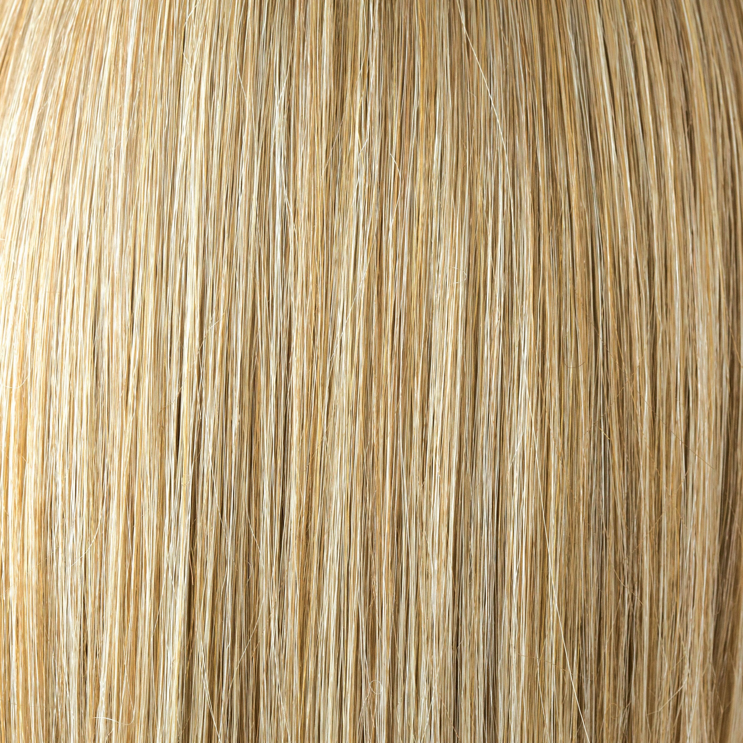 Spring Honey-T - A perfect blend of warm honey blond and cool platinum blond. Lighter face line & hair ends complete a dimensional appearance.
