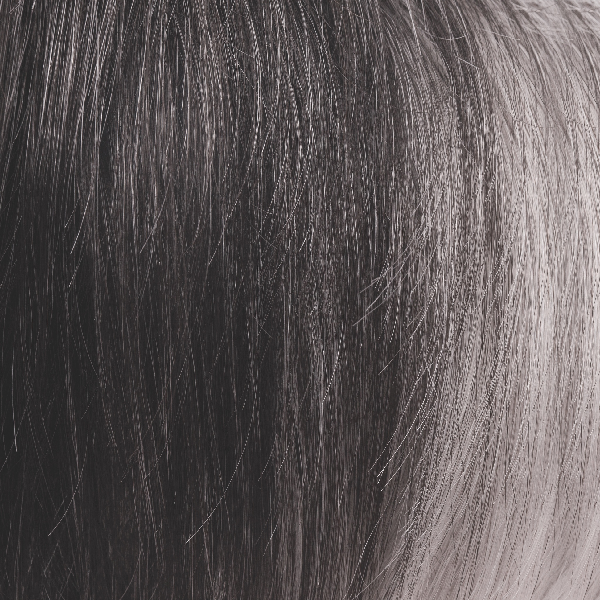 Black Onyx  -  This sultry, modern color is a combination of warm, off-black base with a hint of platinum white. Black Onyx features a nice balance of soft platinum white highlights carefully placed in front, resulting in a fashion-forward look for any style!