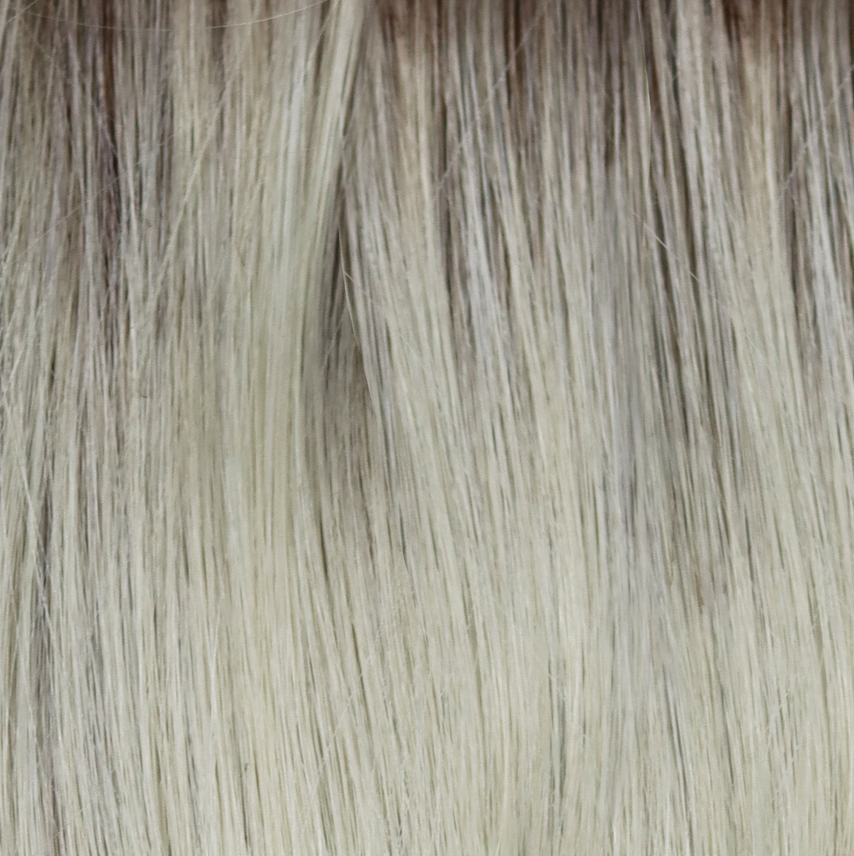Creamy Dolce  -  A beautiful blond with a natural regrowth of a dark to medium honey brown with a whole host of tiny weaves of orchid white blonds and pale creams.