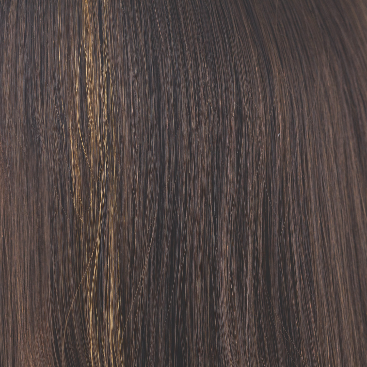 Kahlua Blast  -  A cool toned brown that has a Dark Chocolate-base. This color has a lively yellow golden streak on the front, making it a statement color for daily wear.