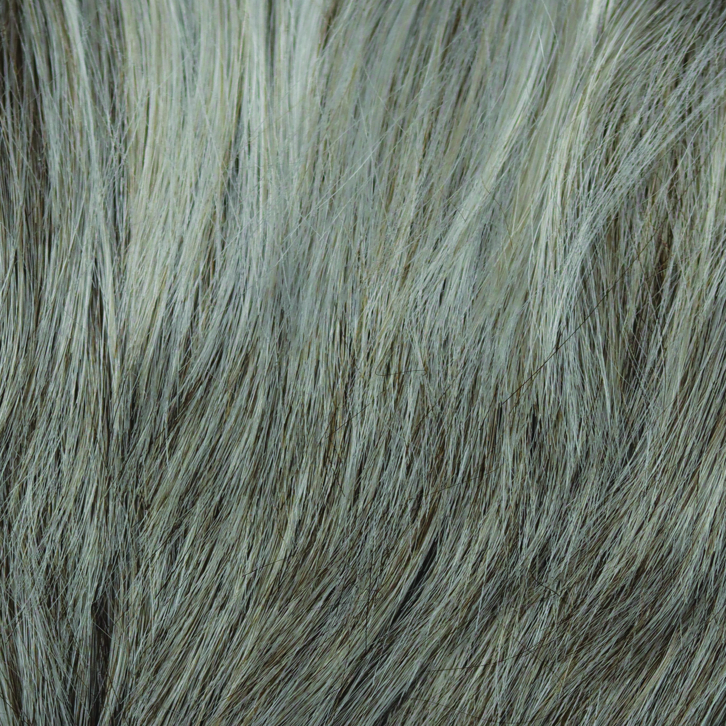 Silver Frost  -  A silvery white and creamy white and features well-balanced white highlights in front.