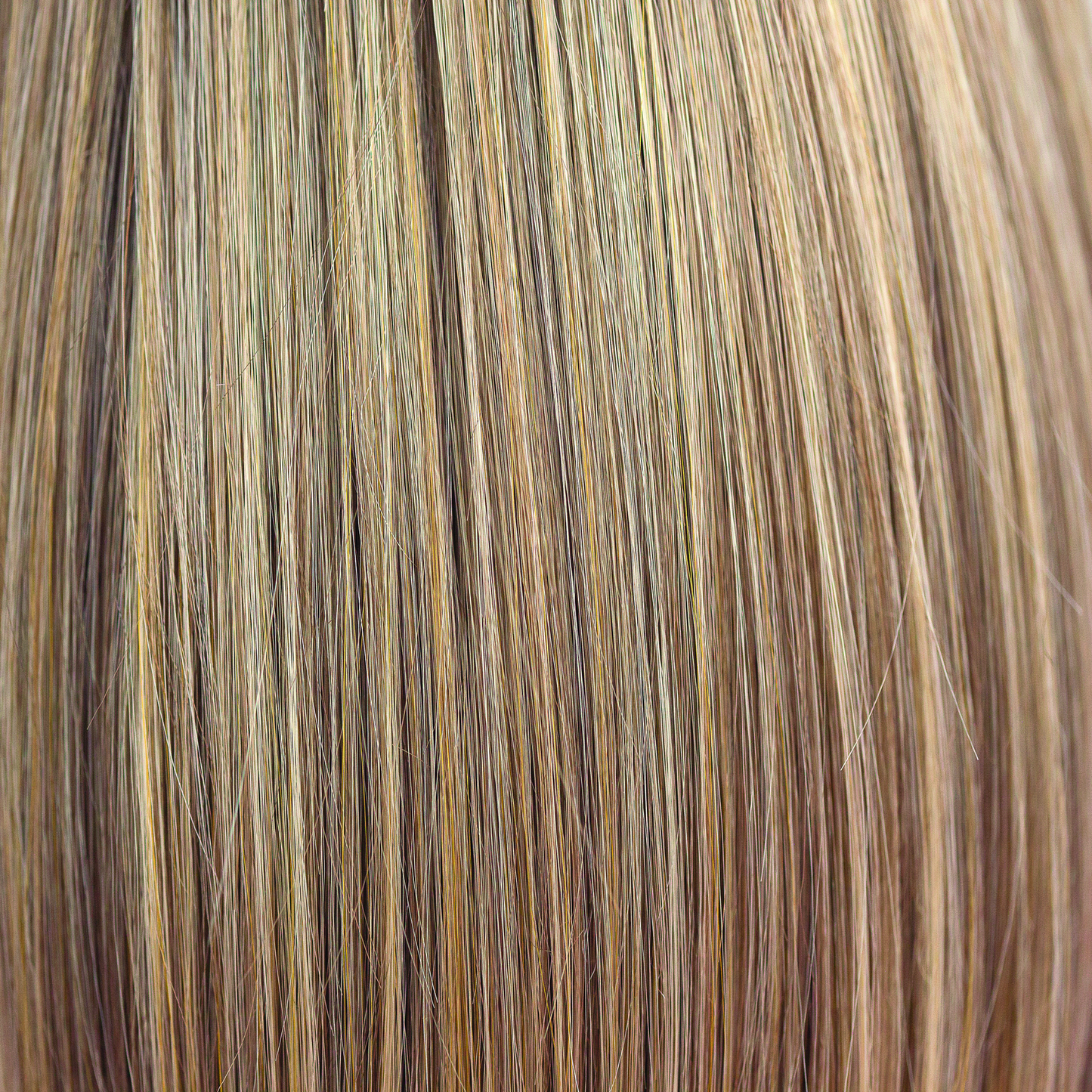 Toasted Shine  -  A wonderfully toned blend of caramel and toffee with creamy vanilla slices. 