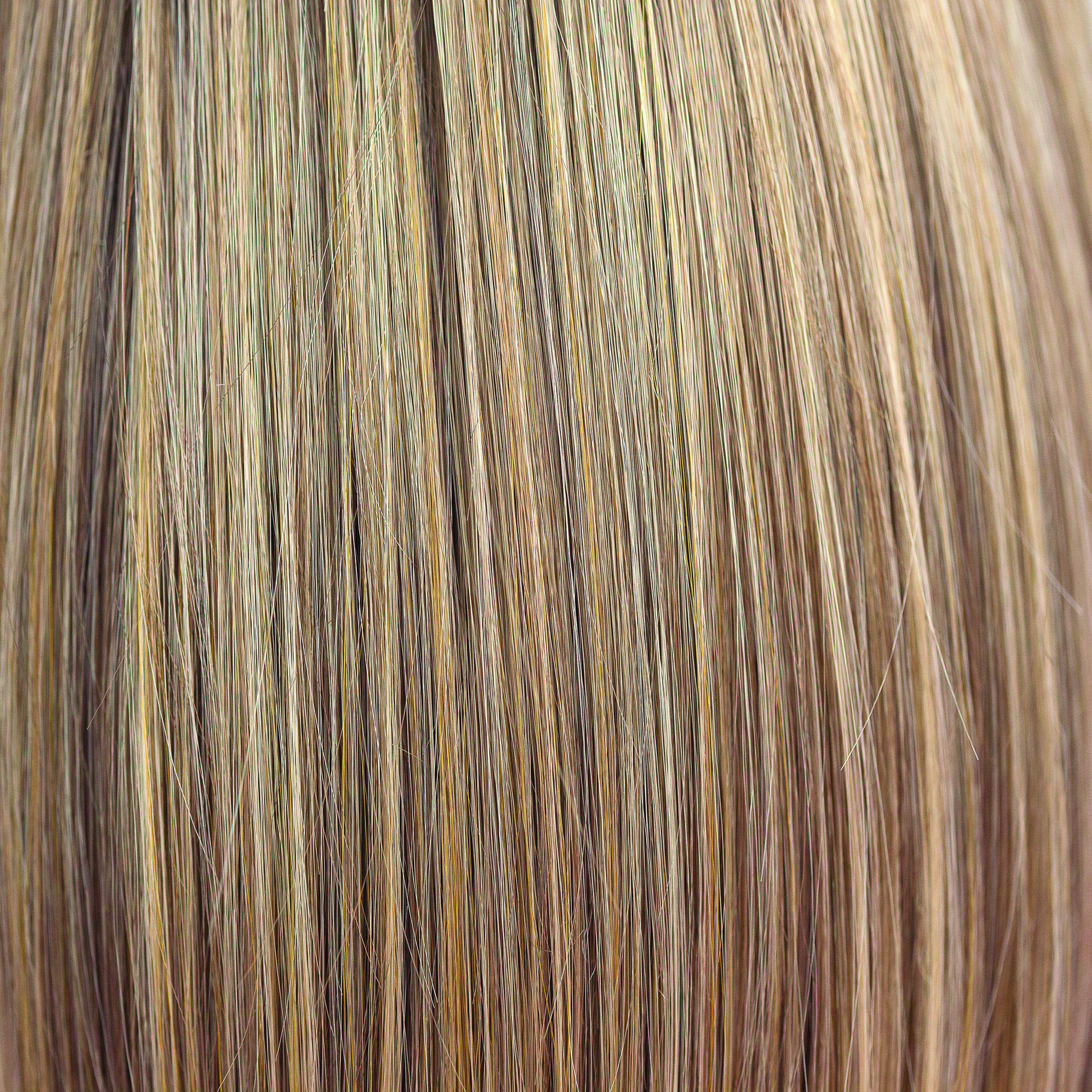 Toasted Shine  -  A wonderfully toned blend of caramel and toffee with creamy vanilla slices. 